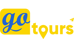 logo icon