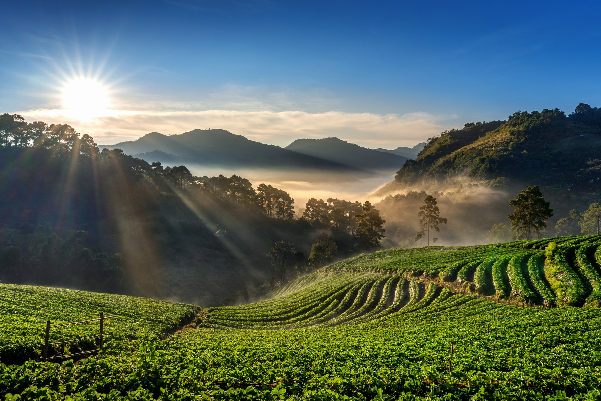 Munnar